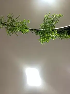 CharlotteBrownn  online show from February 2026 03:04:02 AM