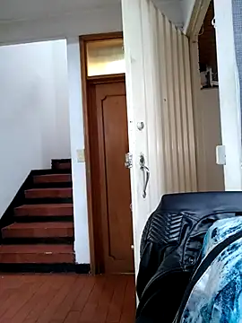 Venus Rivers online show from November 2025 01:10:01 PM