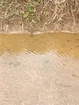 CoMay003 online show from March 2026 05:35:01 AM