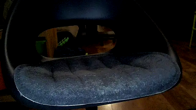 Snapshot of TobyDick13 chatting on January 2026 11:30:02 PM TobyDick13 online show from January 2026 11:30:02 PM