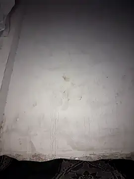 msandmr online show from December 2025 07:43:02 PM