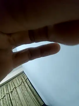 luislimafuego online show from December 2025 10:54:01 AM