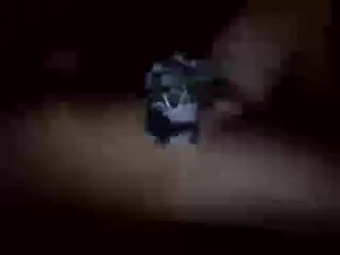 Nalguitas99 online show from October 2025 04:45:01 AM