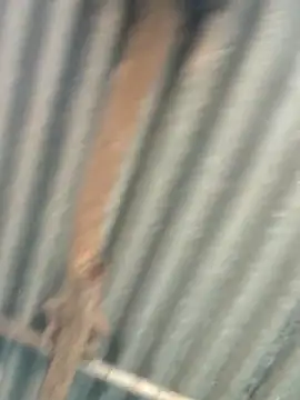 Snapshot of Hot-ilaiy chatting on September 2025 02:33:02 AM Hot-ilaiy online show from September 2025 02:33:02 AM