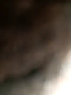 Snapshot of Hat-Raja77 chatting on November 2025 04:33:02 AM Hat-Raja77 online show from November 2025 04:33:02 AM