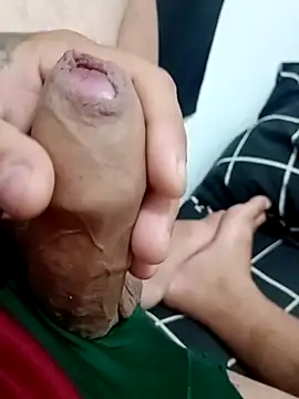 Snapshot of pulssante chatting on February 2026 08:33:01 AM pulssante online show from February 2026 08:33:01 AM