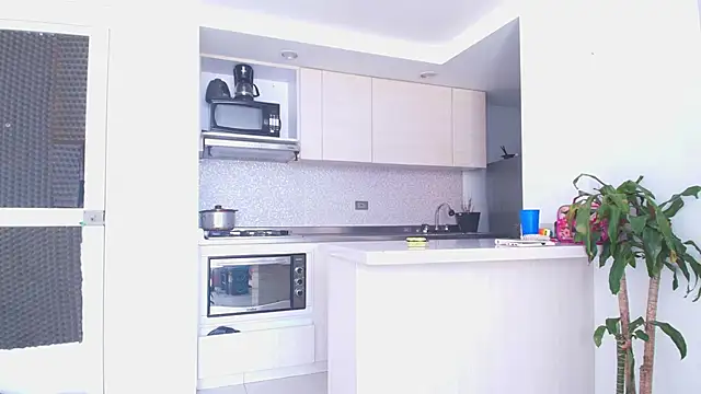 Something pork4 online show from November 2025 08:46:02 PM