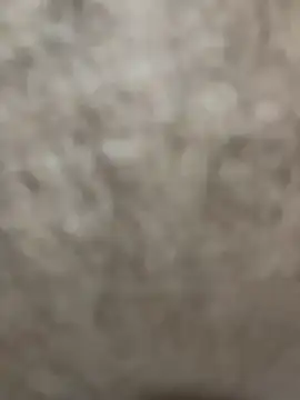 Snapshot of Telugu_sex_ chatting on December 2025 08:18:02 PM Telugu sex online show from December 2025 08:18:02 PM