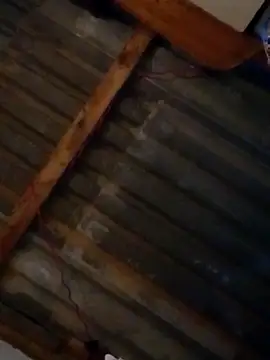 Snapshot of LUISSLEONN0958 chatting on September 2025 09:02:01 AM LUISSLEONN0958 online show from September 2025 09:02:01 AM