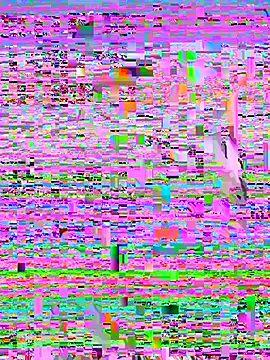 Snapshot of Rouse69_ chatting on November 2025 01:32:02 PM Rouse69 online show from November 2025 01:32:02 PM