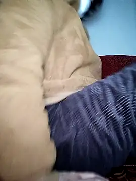 July-Asian online show from January 2026 10:56:02 PM