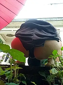July-Asian online show from May 2026 01:03:01 AM