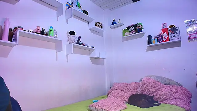 Snapshot of annyharriis chatting on March 2026 08:12:01 PM annyharriis online show from March 2026 08:12:01 PM