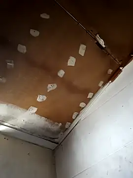 lucho2328 online show from September 2025 06:46:01 PM