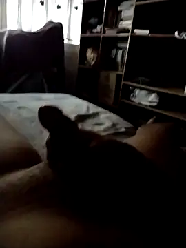 Snapshot of CadencedMimesis chatting on September 2025 08:30:02 AM CadencedMimesis online show from September 2025 08:30:02 AM