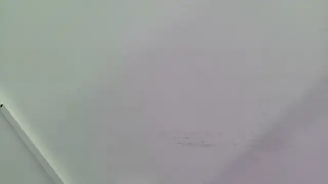 Lizbeth Rouse online show from September 2025 12:54:01 PM