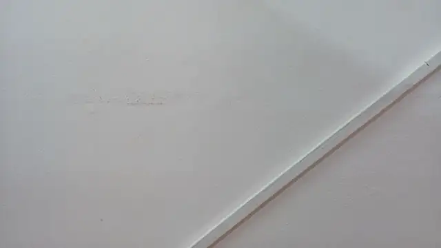 Lizbeth Rouse online show from October 2025 12:55:01 PM