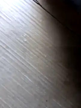 liza-212 online show from October 2025 09:41:02 AM