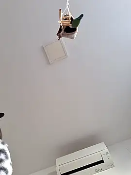 Snapshot of SweetSun69 chatting on March 2026 07:42:01 AM SweetSun69 online show from March 2026 07:42:01 AM