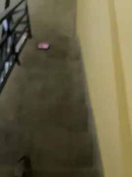 longfuckk online show from May 2026 11:15:02 AM