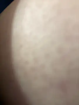 Cherry   Blossom online show from November 2025 01:23:01 PM