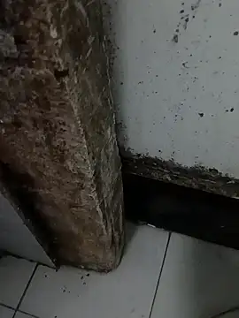 69siuol online show from October 2025 06:26:02 PM