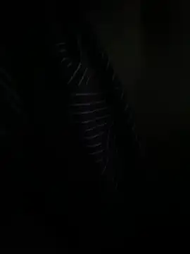 Snapshot of P_E_R_V_I_T_I_N chatting on March 2026 11:05:01 PM P E R V I T I N online show from March 2026 11:05:01 PM