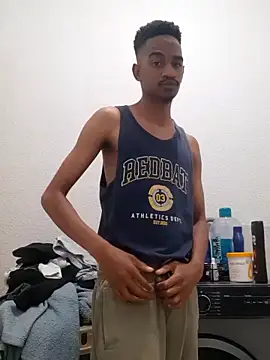 gemini loops online show from November 2025 05:04:01 PM