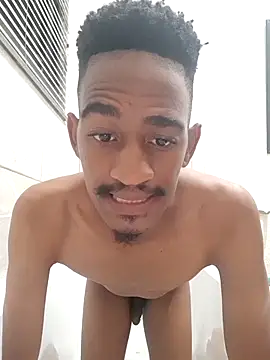 gemini loops online show from December 2025 07:31:01 PM