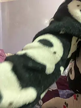 Sandhya 77 online show from February 2026 05:50:02 AM