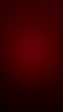 bibi perigoBr online show from September 2025 03:34:02 PM