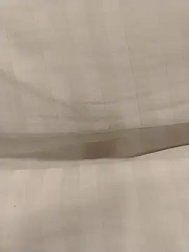 Snapshot of Yoshi_rexy chatting on October 2025 03:17:01 AM Yoshi rexy online show from October 2025 03:17:01 AM