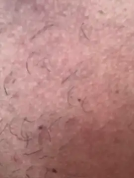 Snapshot of CasadoLutadorBigStuds chatting on October 2025 08:00:02 PM CasadoLutadorBigStuds online show from October 2025 08:00:02 PM