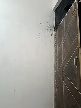 NoxiousFilename online show from October 2025 03:43:01 PM