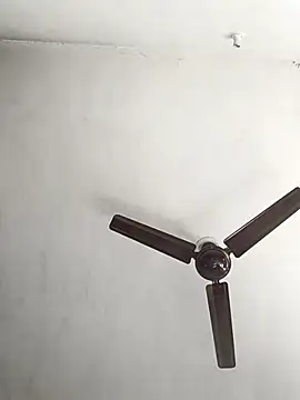 NoxiousFilename online show from October 2025 03:58:01 AM