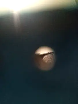 Snapshot of Sonya51561 chatting on November 2025 02:51:01 PM Sonya51561 online show from November 2025 02:51:01 PM