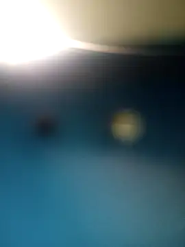 Snapshot of Sonya51561 chatting on December 2025 05:07:01 PM Sonya51561 online show from December 2025 05:07:01 PM