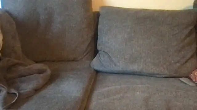 Snapshot of RichDaddy60 chatting on November 2025 06:31:01 PM RichDaddy60 online show from November 2025 06:31:01 PM