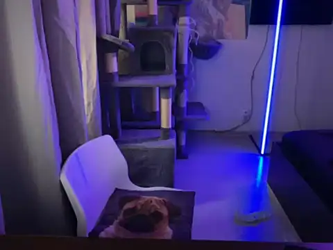 Snapshot of davesinner chatting on March 2026 07:15:01 AM davesinner online show from March 2026 07:15:01 AM