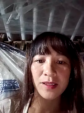 Mini3333 online show from October 2025 05:17:01 PM