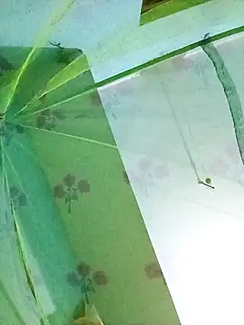 Snapshot of Apkisona8 chatting on November 2025 05:06:01 PM Apkisona8 online show from November 2025 05:06:01 PM