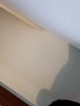 Snapshot of Andrez5041 chatting on October 2025 04:02:01 AM Andrez5041 online show from October 2025 04:02:01 AM