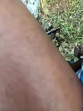 dolphiinn online show from February 2026 02:16:01 AM