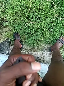 dolphiinn online show from March 2026 01:34:02 AM