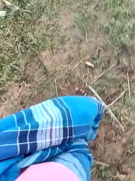 dolphiinn online show from March 2026 02:05:02 AM