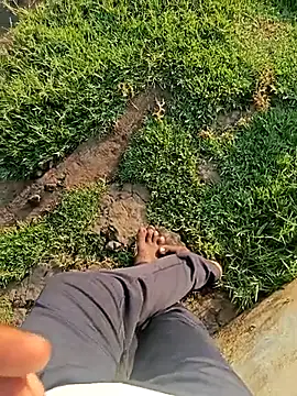 dolphiinn online show from March 2026 01:43:02 AM