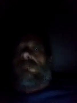 Snapshot of Potch8duim chatting on October 2025 07:55:01 PM Potch8duim online show from October 2025 07:55:01 PM