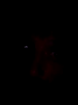 Snapshot of Potch8duim chatting on November 2025 07:49:02 PM Potch8duim online show from November 2025 07:49:02 PM