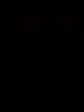 RevokingWaverer online show from February 2026 05:12:02 AM