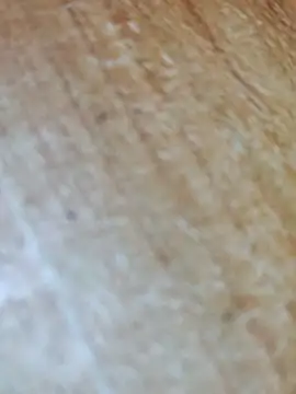 Markroco696 online show from November 2025 05:02:01 AM